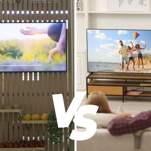 Monitor LCD profesional vs televisor doméstico